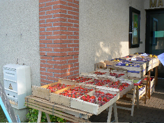 p1020484.jpg