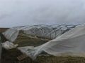 DSCF1374.JPG