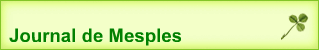 Journal de Mesples