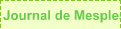 Journal de Mesples